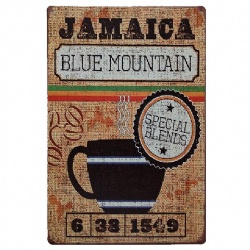 Best Vintage Funny Home Decor Tin Sign,Retro Metal Printing Poster 20x30cm
